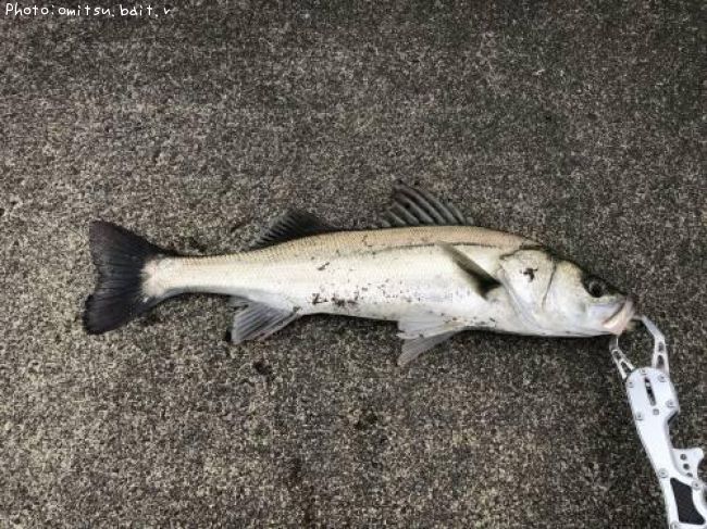 �����Х�