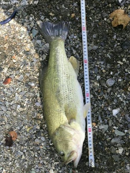 �֥�å��Х�