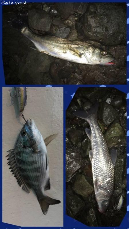 �����Х�