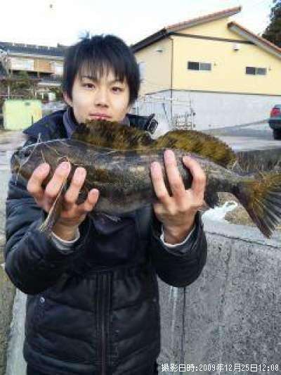 �����ʥ�