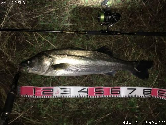 �����Х�