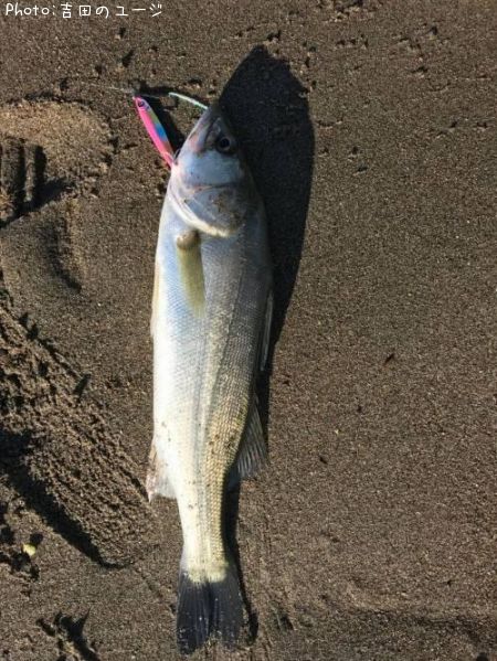 �����Х�