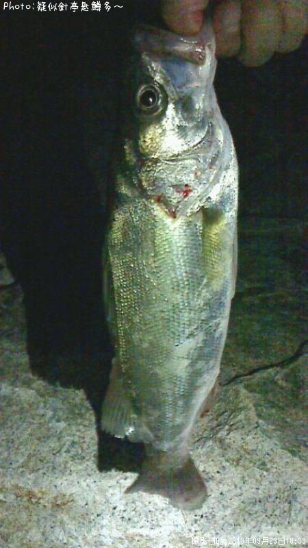 �����Х�