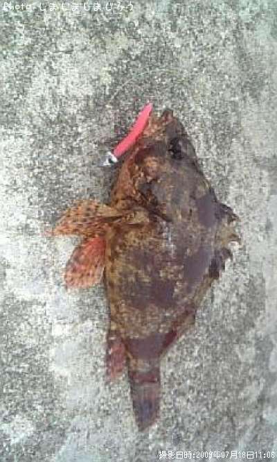 �������Х�