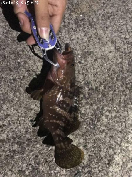 �����ϥ�