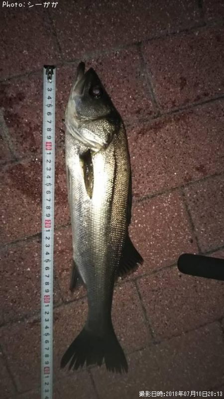 �����Х�