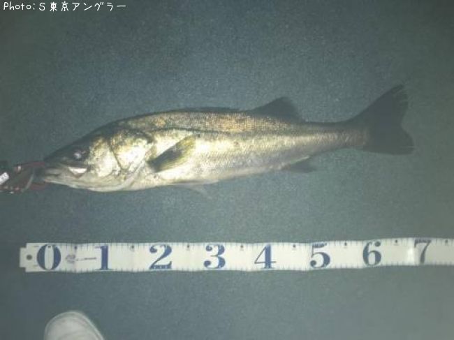 �����Х�