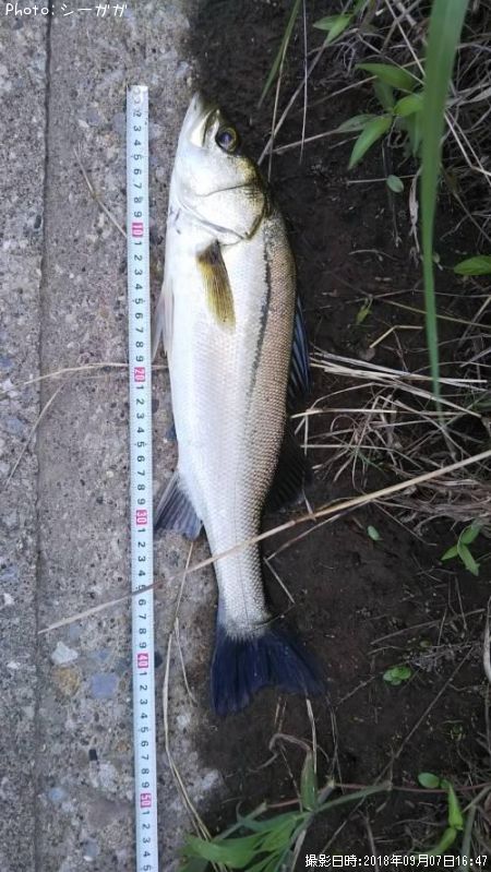 �����Х�