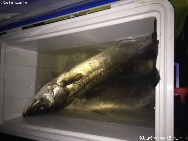 �����Х�