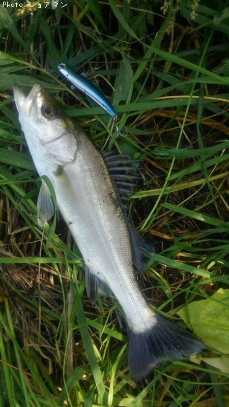 �����Х�