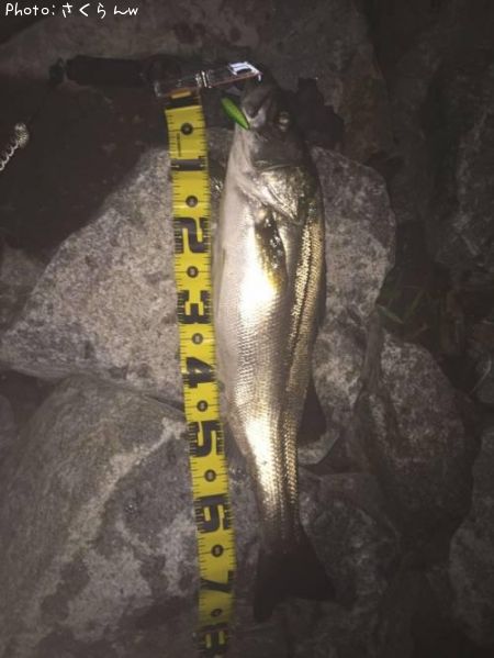 �����Х�