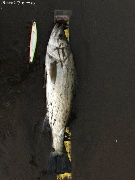 �����Х�