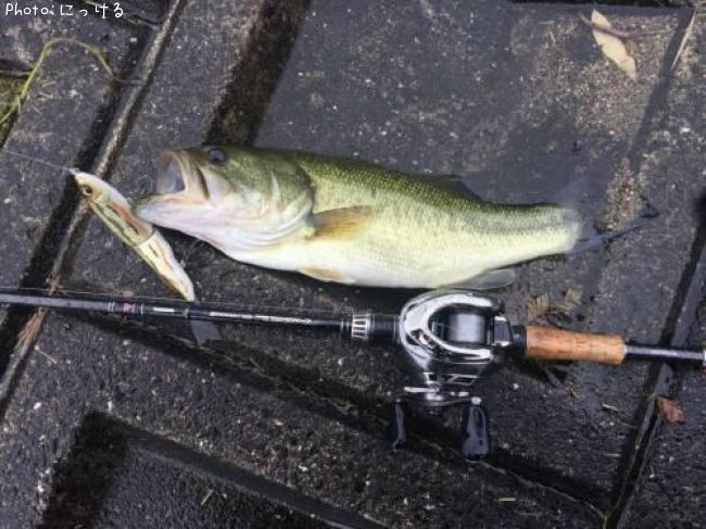 �֥�å��Х�