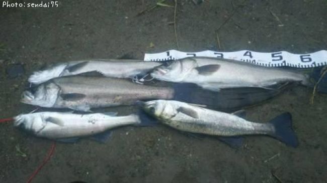 �����Х�