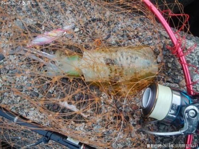 �����ꥤ��