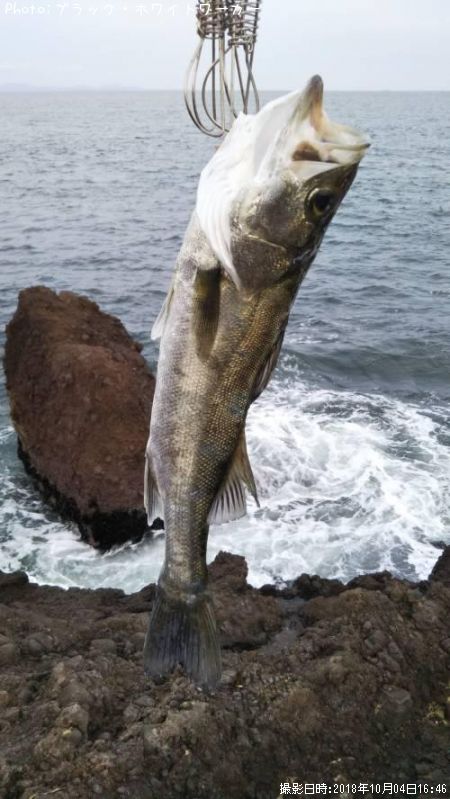 �����Х�