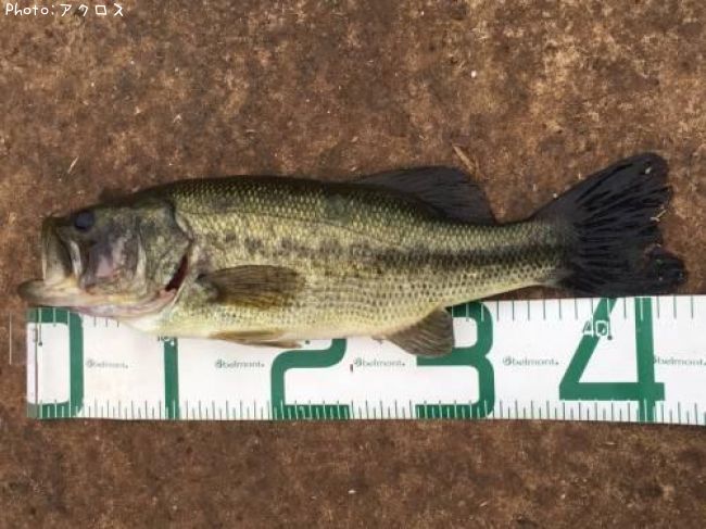 �顼���ޥ����Х�