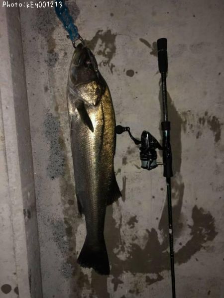 �����Х�