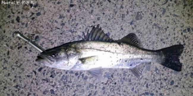 �����Х�