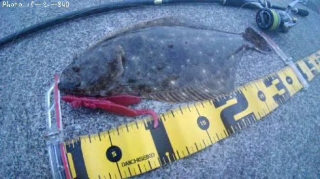 �ҥ��ʥ�����