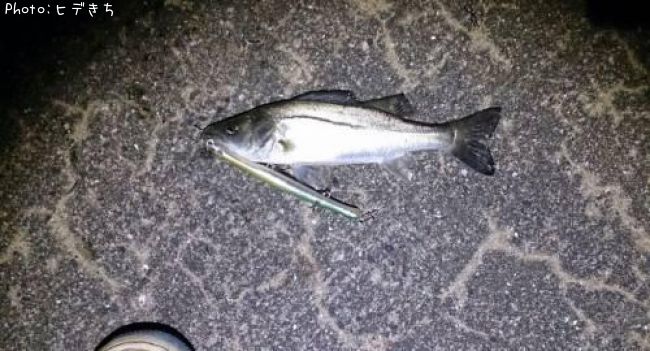 �����Х�