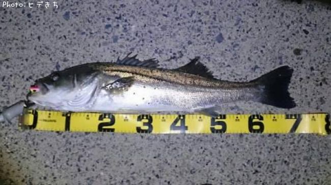 �����Х�