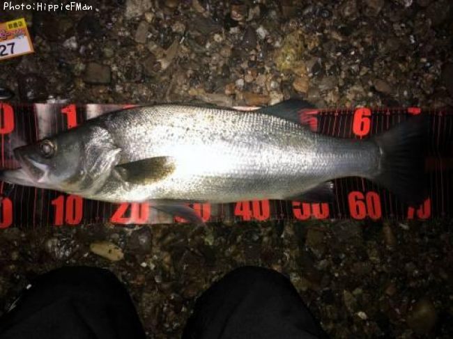 �ҥ饹����