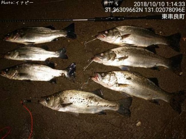 �ҥ饹����