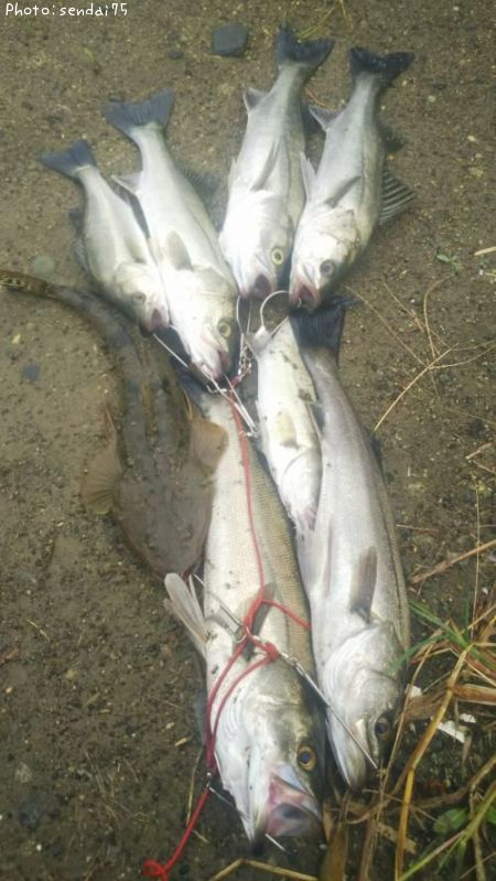 �����Х�