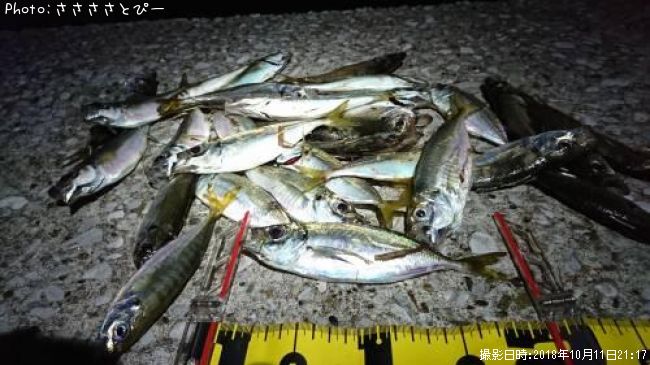 ��������Х�