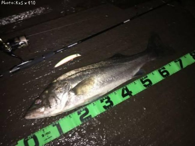 �����Х�