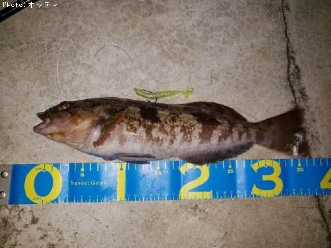 �����ʥ�