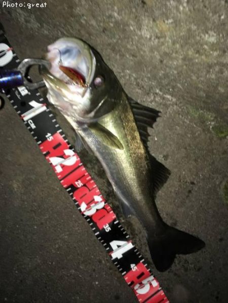 �����Х�