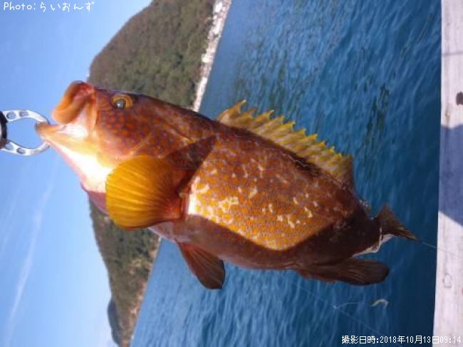 �����ϥ�