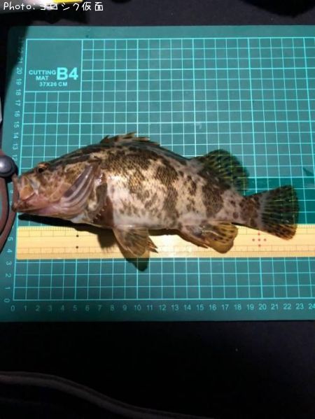 �����Υ���Х�