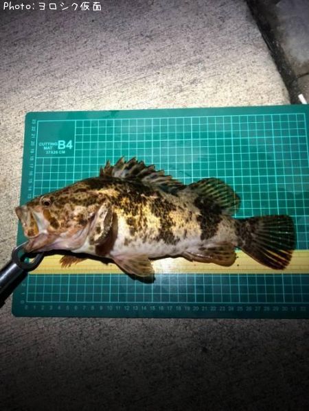 �����Υ���Х�