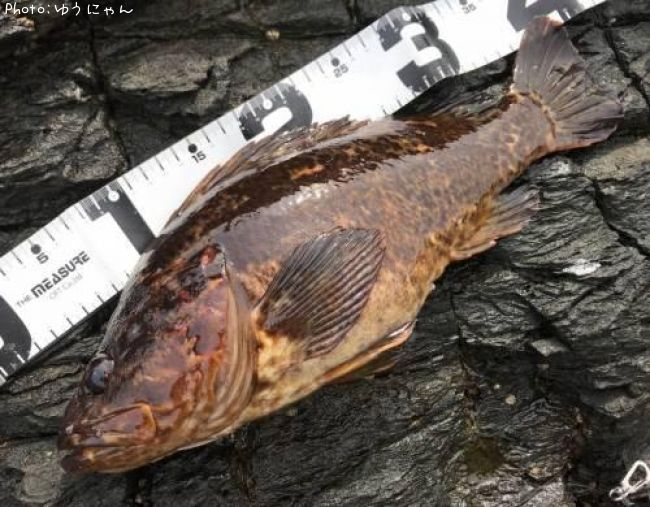 �����Υ���Х�