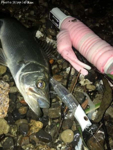 �ҥ饹����