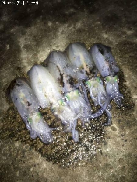 �����ꥤ��