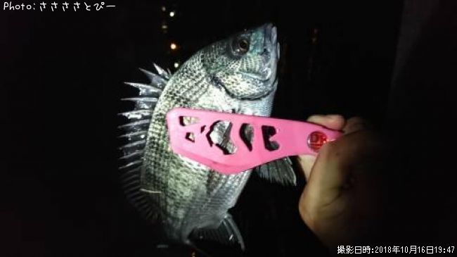 ��������������