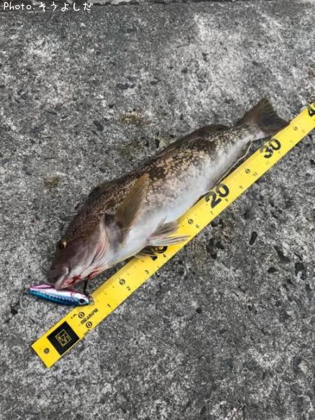 �����ʥ�