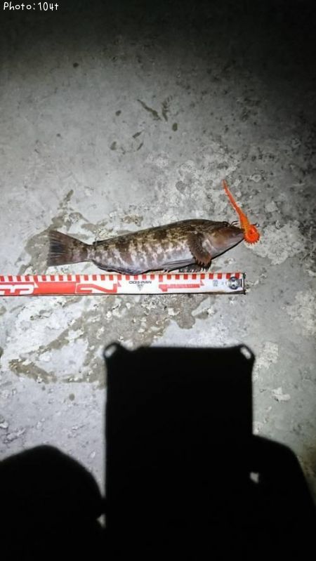 �����ʥ�