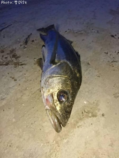 �����Х�