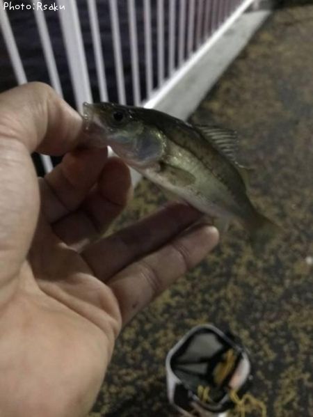 �����Х�