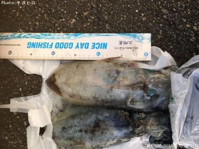 �����ꥤ��