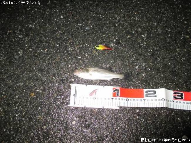 �����Х�