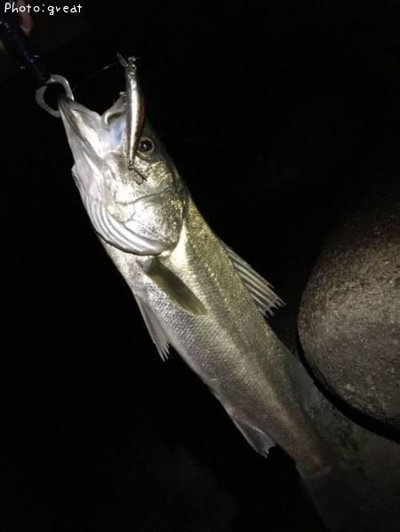 �����Х�