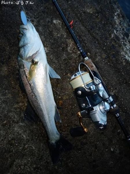 �����Х�