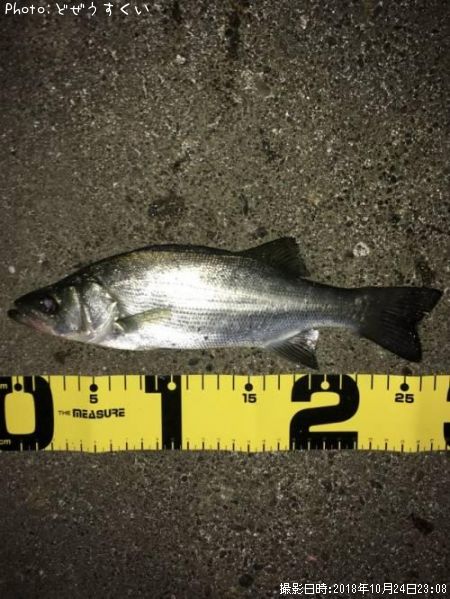 �����Х��ʥҥ饻������