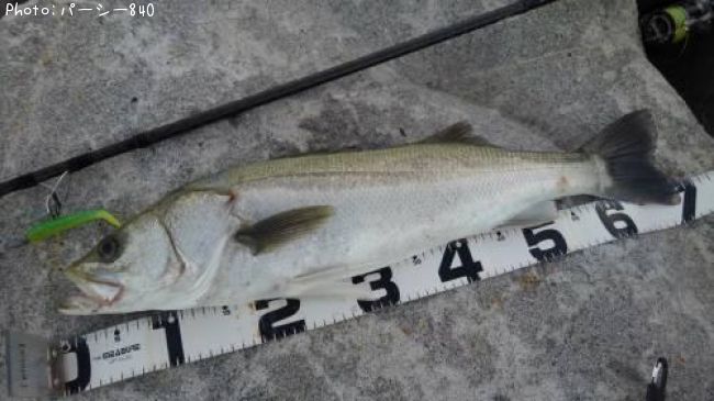 �����Х�